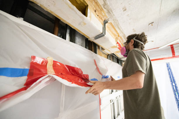 Best Commercial Mold Inspection  in Princeton Junction, NJ