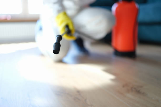 Princeton Junction, NJ Mold Removal Company